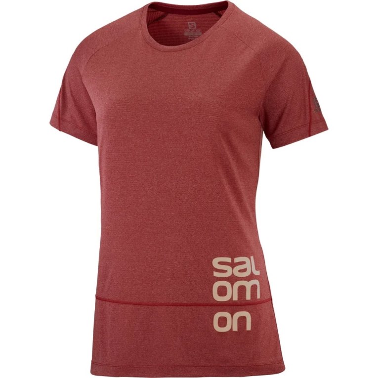 Camiseta Salomon Cross Run Gráficas Curta Sleeve Feminino Vermelhas | PT M62408